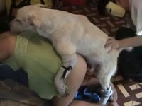 Dog fucking a big ass slut from behind